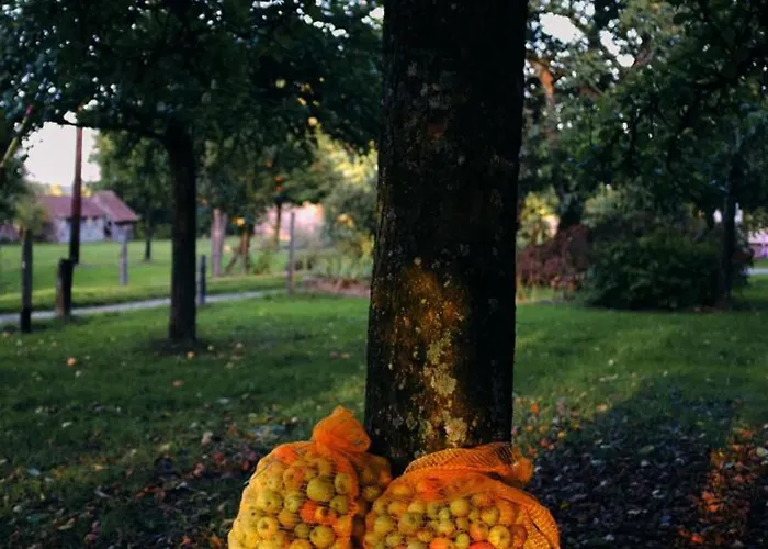 Dom wakacyjny 3 Avec Jardin Et Animaux Acceptes A - Fr-1-497-194