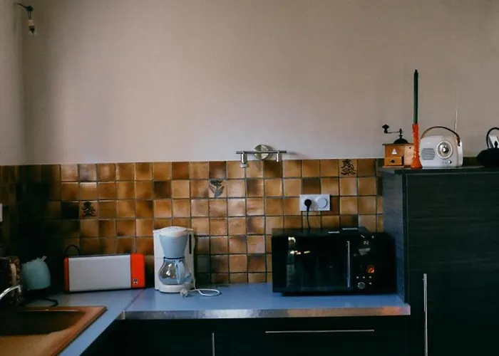 3 Avec Jardin Et Animaux Acceptes A - Fr-1-497-194