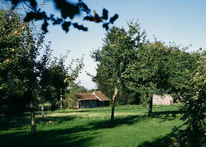 3 Avec Jardin Et Animaux Acceptes A - Fr-1-497-194